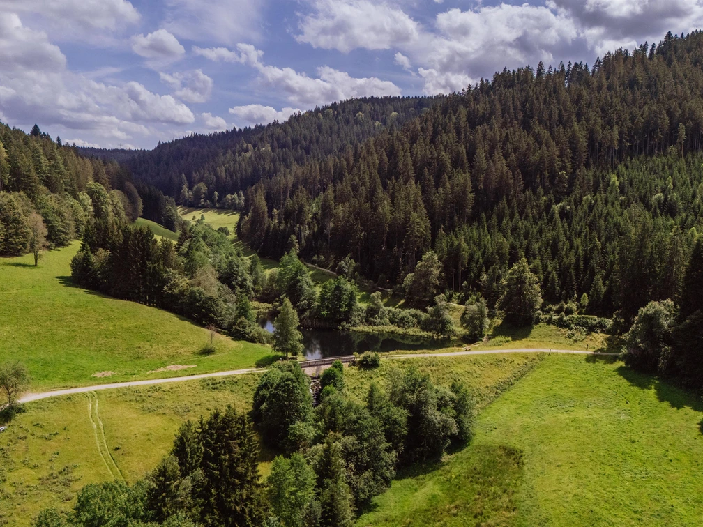 Reichenbachtal