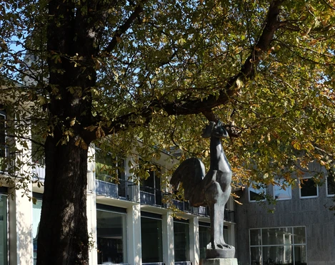 Kölnischer Kunstverein Ein bronzeener Hahn thront auf einem gemauerten Sockel vor einem modernen Gebäude, umgeben von Herbstlaub.A bronze cockerel is enthroned on a brick plinth in front of a modern building, surrounded by autumn leaves.