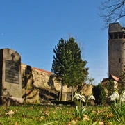 Fruehling Totenhagen Graeber Tylenturm