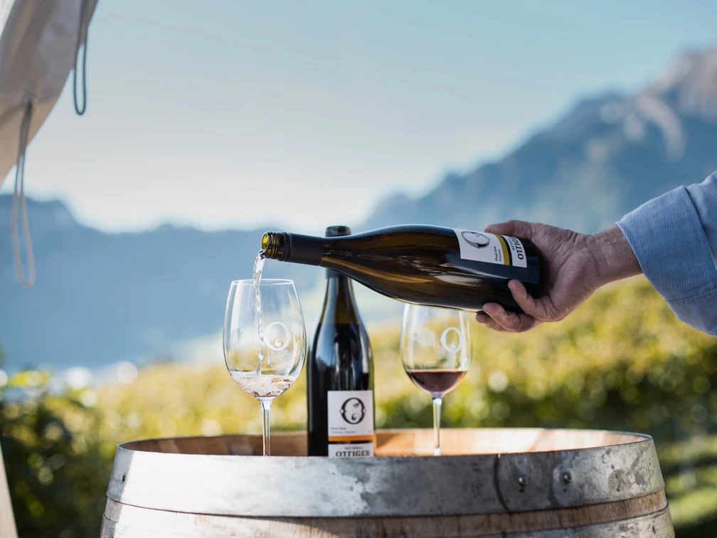 Vineyard Ottiger