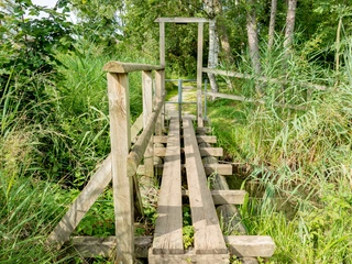 SST_Soppensee_©DianaFry_7.jpg