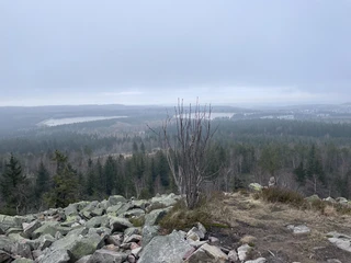 Blick vom Kahleberg