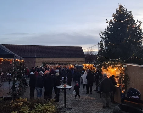 Löbnitzer Weihnachtsmarkt Das Bild zeigt einen Weihnachtsmarkt in der Dämmerung, mit Menschen, die sich um festlich geschmückte Stände und einen großen, beleuchteten Weihnachtsbaum versammeln, während die Lichter und Dekorationen eine gemütliche Atmosphäre schaffen.