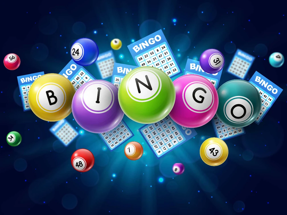 bingo-web.jpg