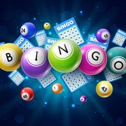 bingo-web.jpg