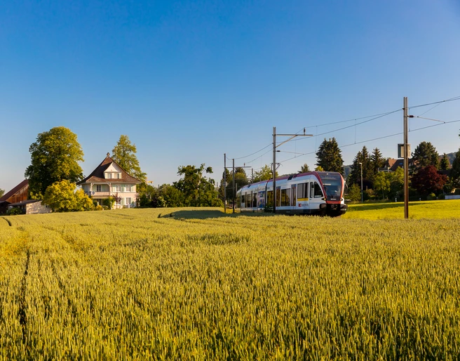 Seetal_Feld_Seetalbahn_Mai_Auswahl-3027_Betschart