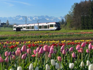 Seetal Luzern Seetal Luzern