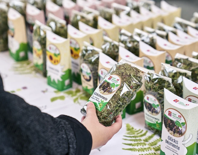 Sale at the wild plant and herb market in Escholzmatt