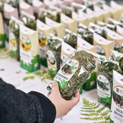 Verkauf am Wildpflanzen- und Kraeutermarkt in Escholzmatt