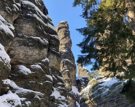 Bielatal Felsige Schlucht mit schneebedeckten Formationen und hohen Kiefern unter klarem, blauem Himmel.