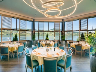 Meisterschwanden_Delphin_Panoramasaa