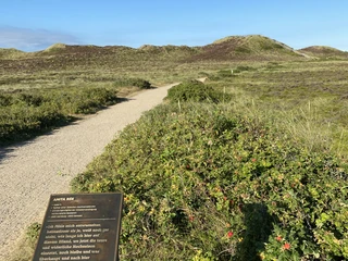 Kunststele Anita Rée