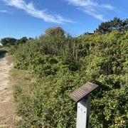 Kunststele Walther Baedeker