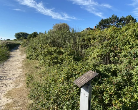 Kunststele Walther Baedeker