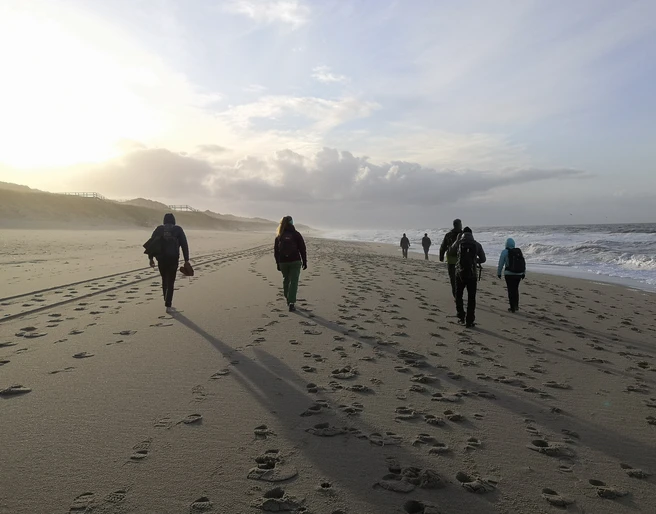 Strandwanderung mit Johanna Katzera