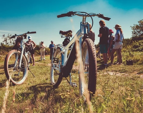 Bike u Wine_Weinberg Fahräder Sturmflotte 2_c_Wein Erlebnistouren Sylt.jpg