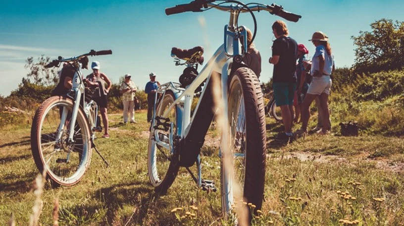 Bike u Wine_Weinberg Fahräder Sturmflotte 2_c_Wein Erlebnistouren Sylt.jpg