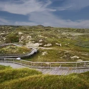 Thalassoplattform am Zuckerpad Thalassoplattform am Zuckerpad