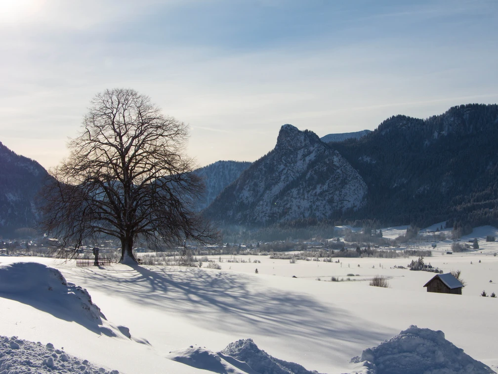 Wiesenlandschaft Wiesmahd Winterblick auf Laber, Kofel und Oberammergau, Thorsten Unseld.jpg