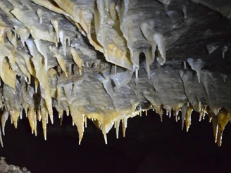 beginnende Tropfsteinformation