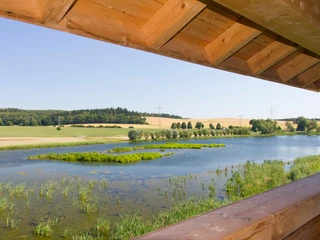 Blick vom Beobachtungsturm auf den Frießnitzer See