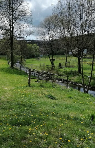 Feilebach mit Blick auf die Staumauer der Talsperre Dröda