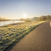 Der Elberadweg führt vorbei an Torgau