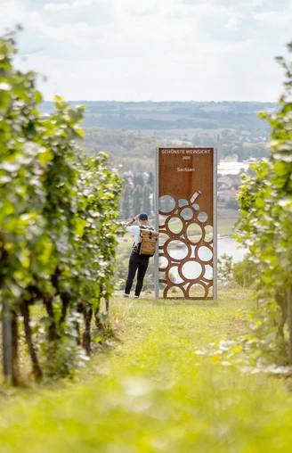 Stele "Schönste Weinsicht 2020" Diesbar-Seußlitz