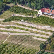 Bella Vista-Winzerhof Golk