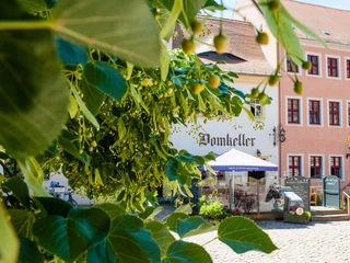 Eingang mit Domterrasse