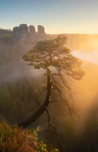 Basteigebiet Blick von Felsenburg Neurathen