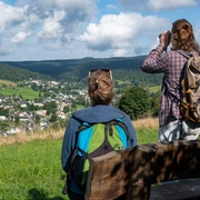 Höhensteig Klingenthal, Blick auf Klingenthal/Brunndöbra