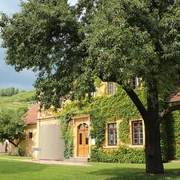 Weingut Hoflößnitz