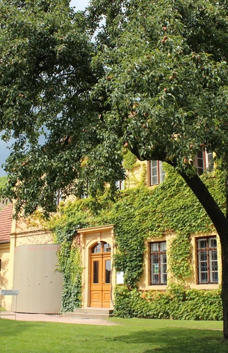 Weingut Hoflößnitz