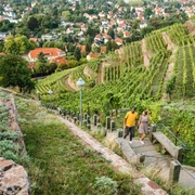 Spitzhaustreppe Radebeul