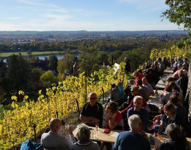 Ausblick KulturTerrasse Scholz