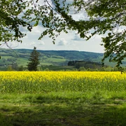Oberhalb von Neuhausen