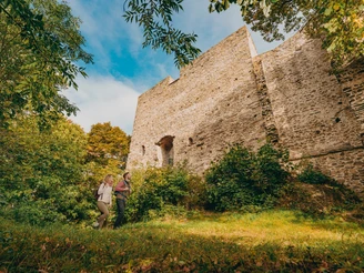 Kammweg Etappe 16 Burgstein Ruine