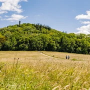 Wandern - Geisingberg