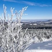 Blick vom Kahleberg im Winter