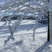 Winter-21-BerghotelTalblick-Oberholzhau-Eisbaum-1