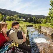 Am Pöhlwasser in Rittersgrün