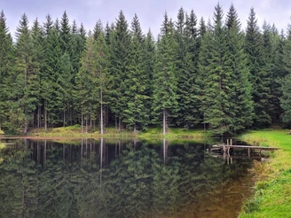 Teichbiotop Preißhausstraße