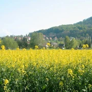Landeskrone, Görlitz