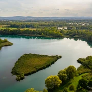 Olbasee