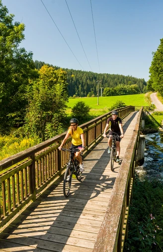 Elsterradweg an der Bretmühle