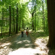 Wandern im Colditzer Forst