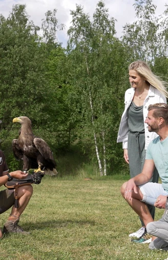 Falknerei Herrmann - Familie