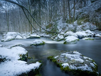 Triebtal im Winter