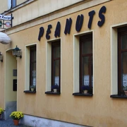Pup Peanuts in Greiz